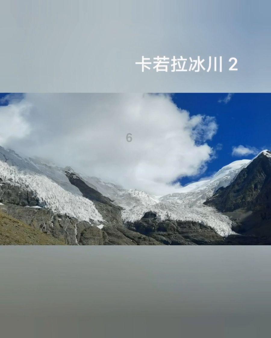 植物大战僵尸13
